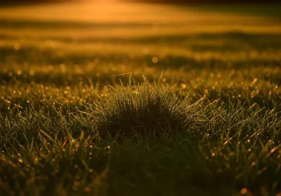 Imagen PNG para descargar